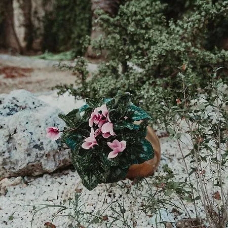 Masseria Surani Grande Σπίτι διακοπών